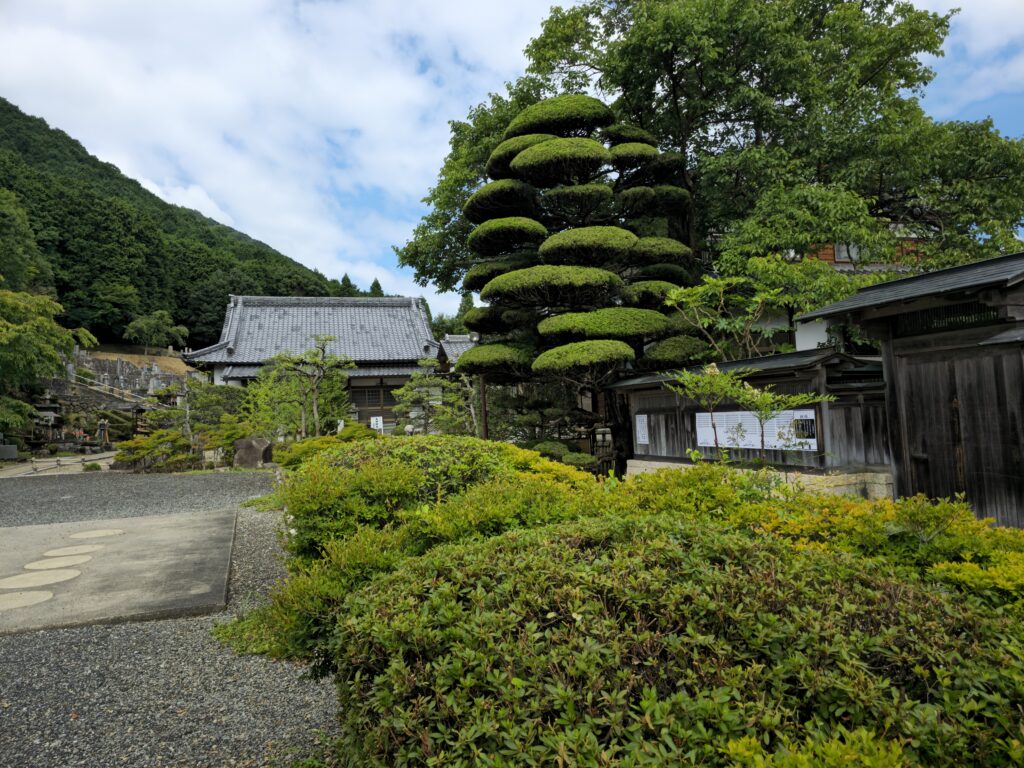 参道掲示